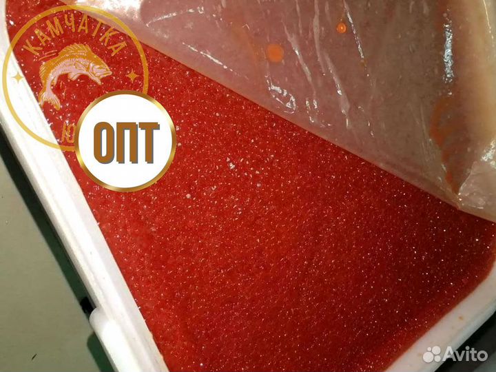Икра кеты Оптом