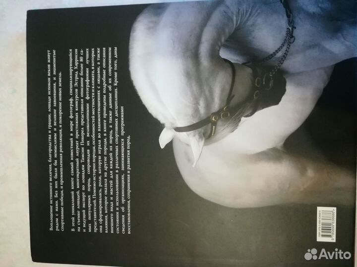 Иллюстрированная Энциклопедия