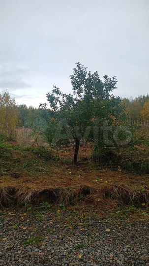 Участок 2,4 га (СНТ, ДНП)