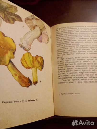 Грибы наших лесов. Книга