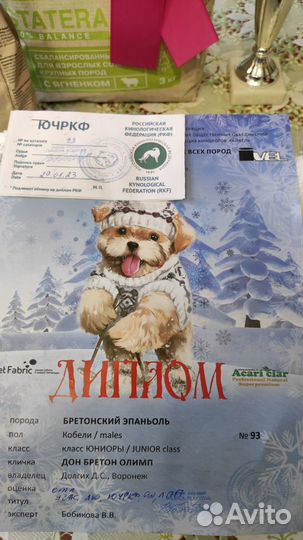 Вязка Бретонский эпаньоль