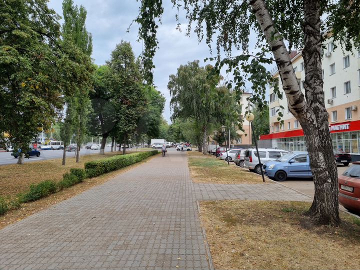 Торговое Помещение, 255 м²