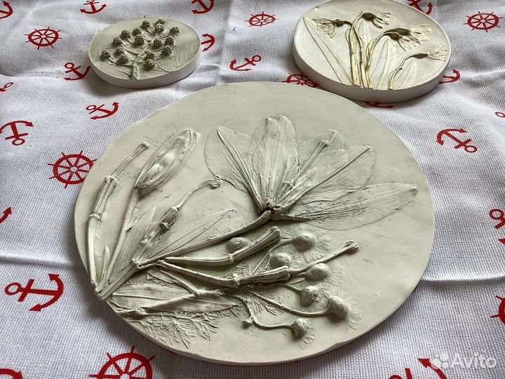 Ботанический барельеф