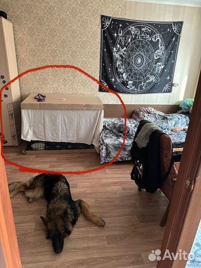 Клетка для собак 6 номер