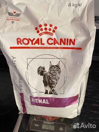 Корм для кошек royal canin ренал