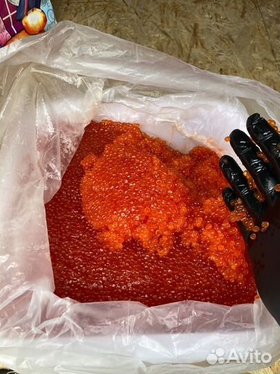 Красная икра 2023