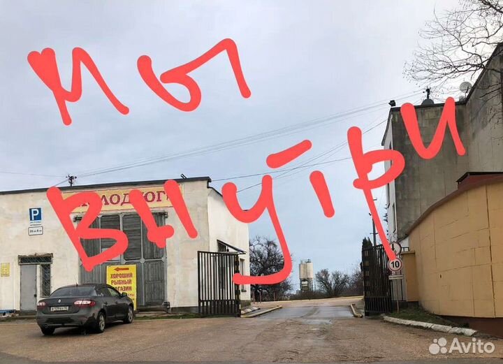 Рыба кижуч св морож 2-3 кг лососевые