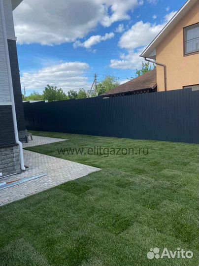 Рулонный газон /продажа/укладка