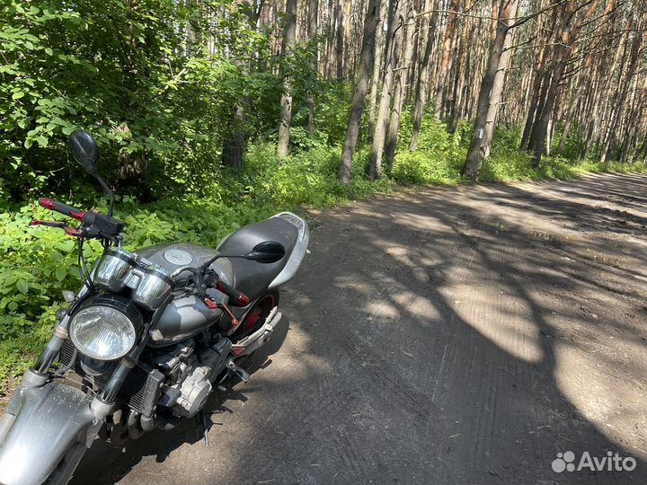 Honda hornet cb600