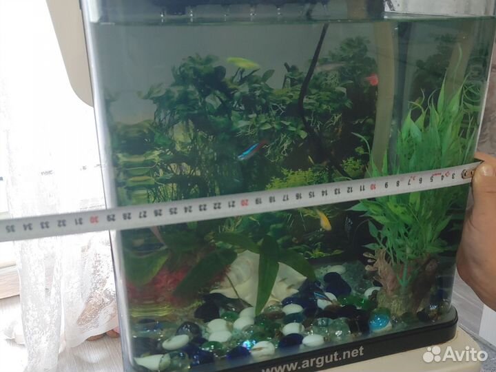 Аквариум с рыбками