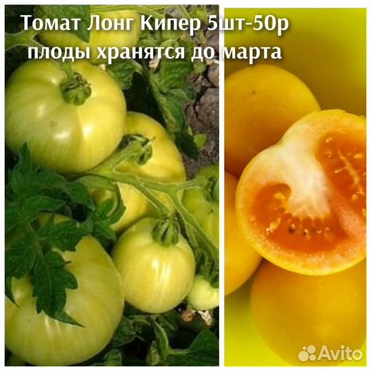 Семена томатов