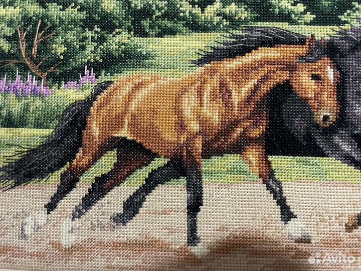 Картина вышивка крестом Лошади