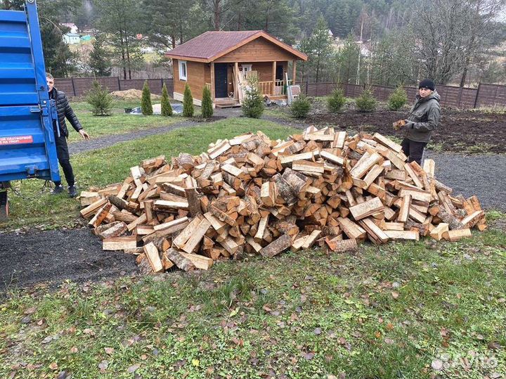 Дрова колотые березовые