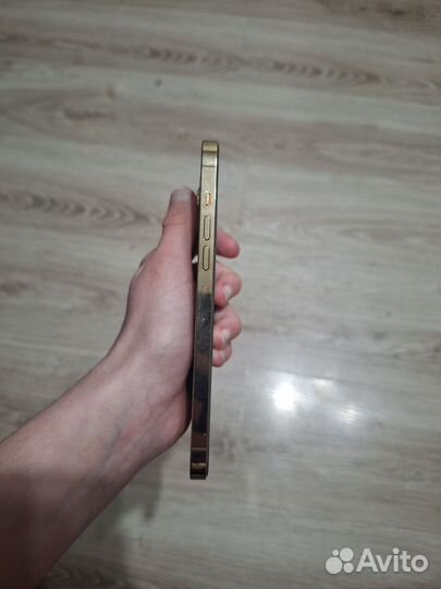 iPhone 13 Pro Max, 256 ГБ