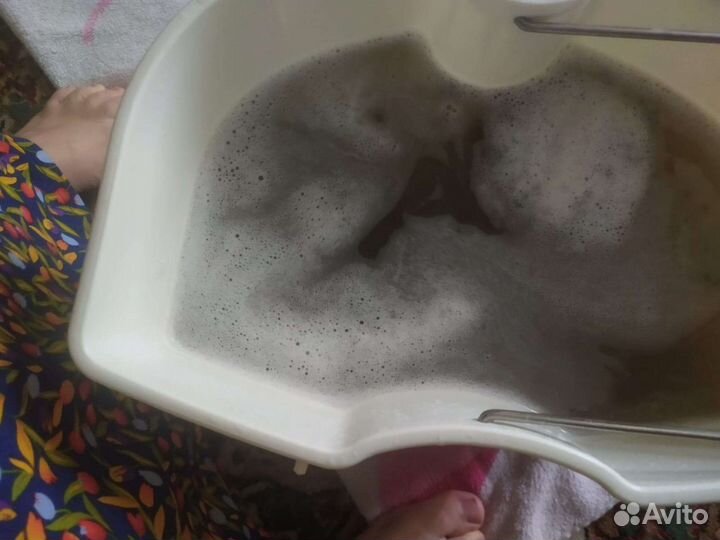 Моющий пылесос Karcher puzzi 10 1