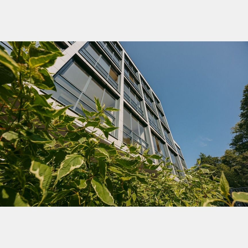 3-к. апартаменты, 71,5 м², 4/5 эт.