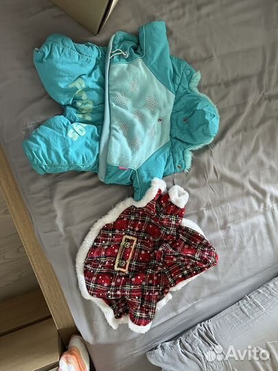 Одежда для маленьких собак