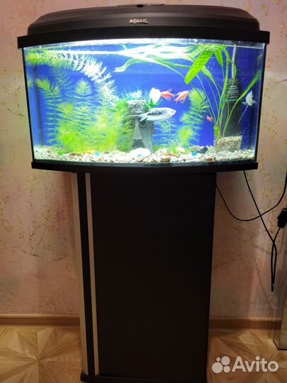 Новый аквариум Laguna Crystal 18 литров