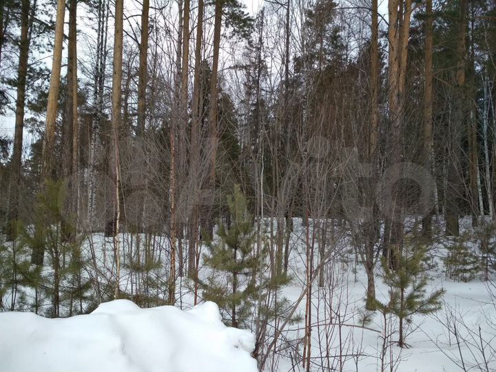 Участок 26,8 сот. (ИЖС)