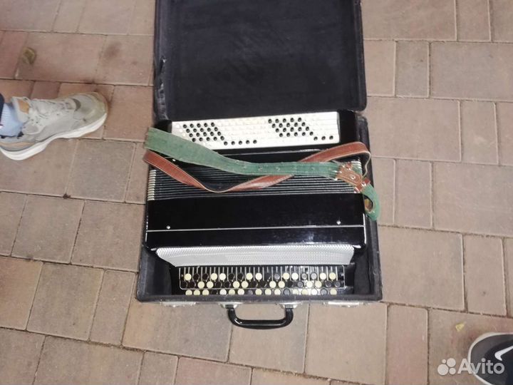 Баян тульский