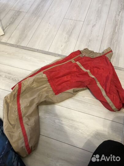 Дождевики для крупной собаки