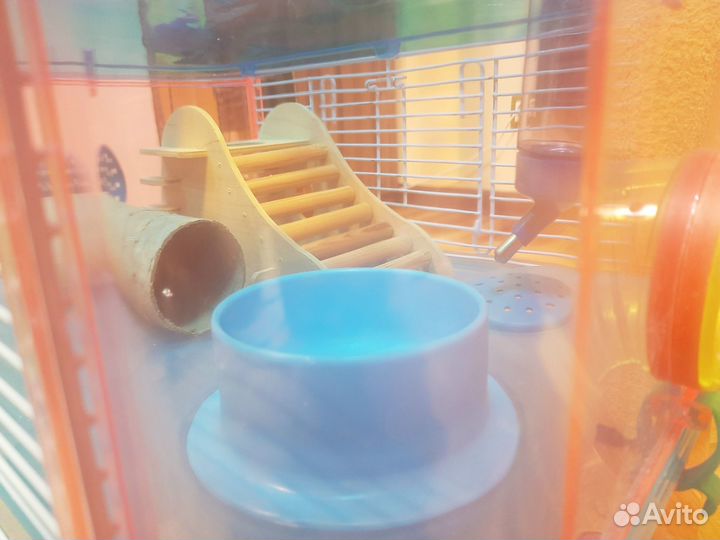 Клетка для сирийского хомяка