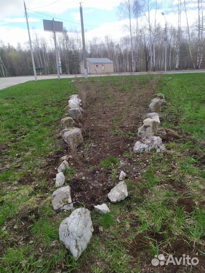 Озеленение и благоустройство