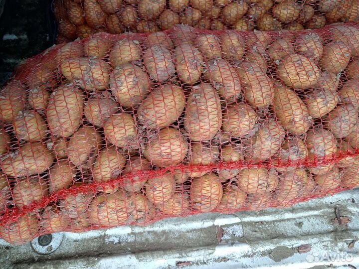 Продукты питания