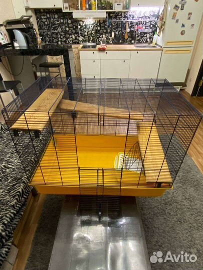 Клетка для грызунов бу (кролики, морские свинки)