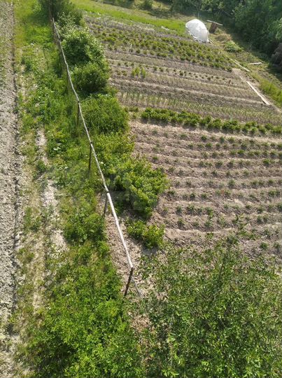 Участок 8 сот. (СНТ, ДНП)