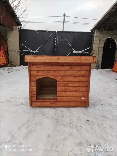 Собачья будка