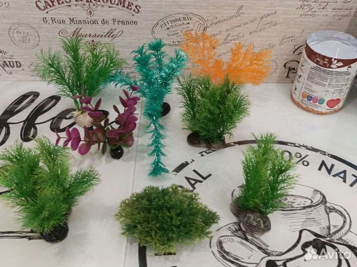 Аквариумные рыбки