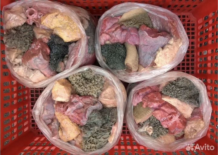 Готовые обеды для собак