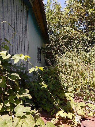 Дом 60 м² на участке 15 сот.