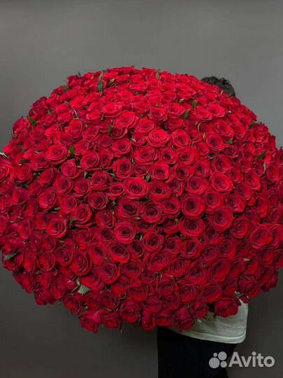 301 красная роза Премиум 80 см