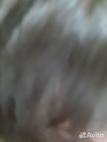 Продаеться каркасный бассейн