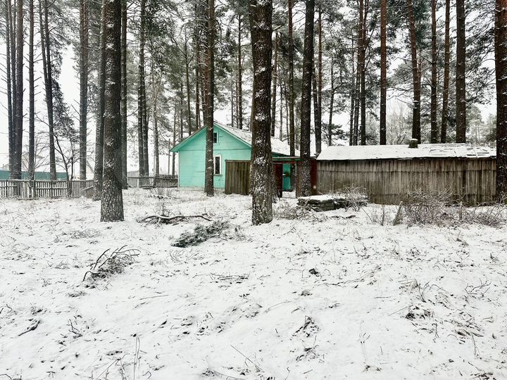 Дом 52,5 м² на участке 8,8 сот.