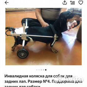 Инвалидная коляска для собак wikiVET №1 M