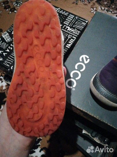 Ботинки ecco biom