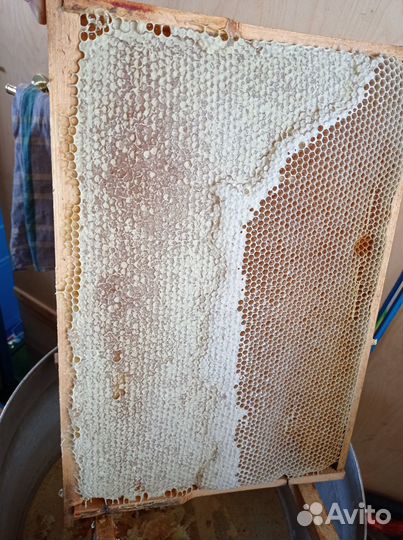 Продам мед оптом