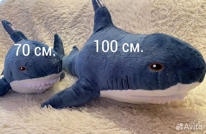 Акула блохэй из Икеи