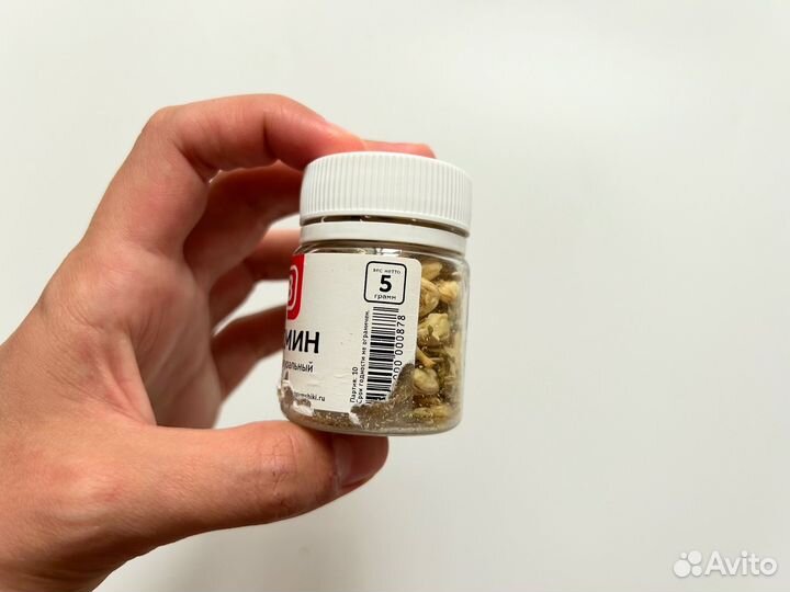 Сухоцветы жасмин для творчества