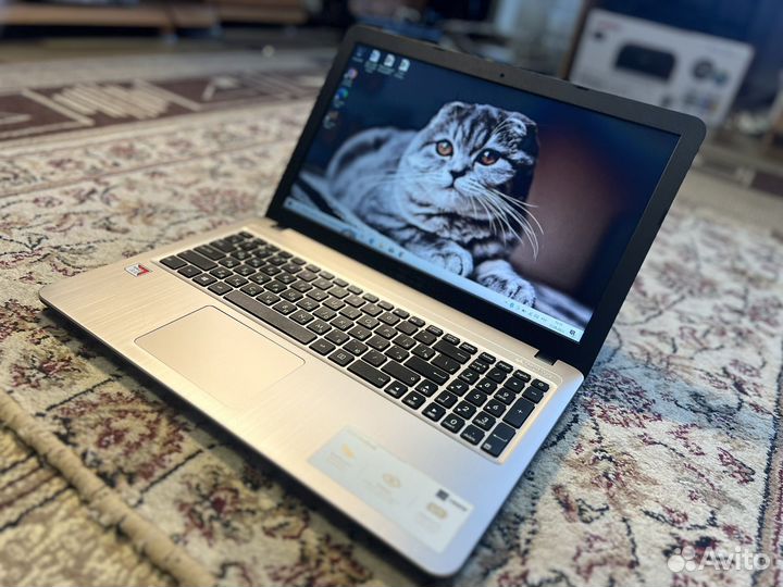 Бизнес Ноутбук Asus Amd A4-9125/240 ssd/4гб/R3