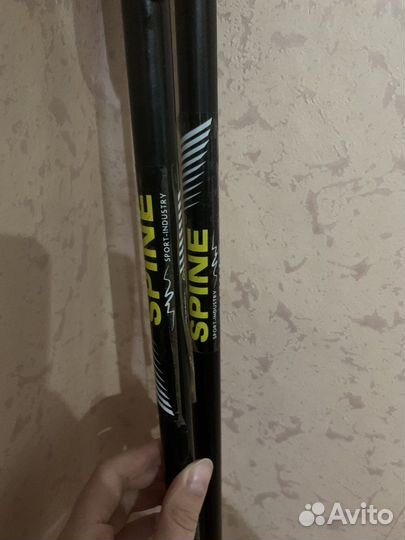 Лыжные палки spine 147-148 см