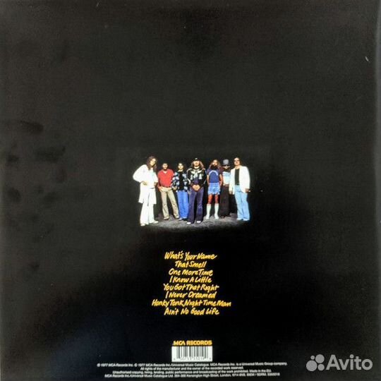 Lynyrd Skynyrd/ Street Survivors/ Vinyl (LP/180G)