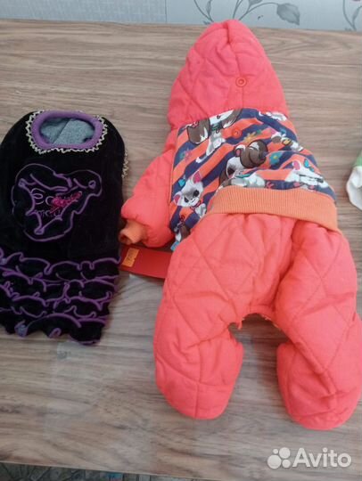 Одежда для маленьких собак