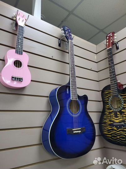 Гитара Элетаро и Амистар