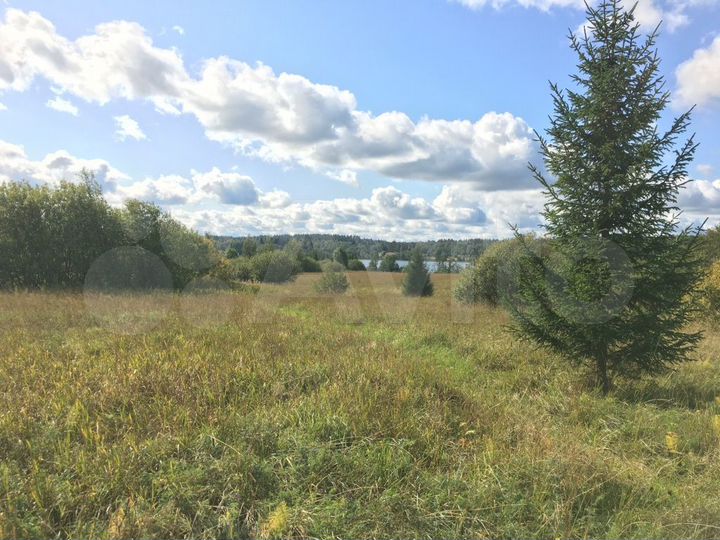 Участок 2,6 га (СНТ, ДНП)