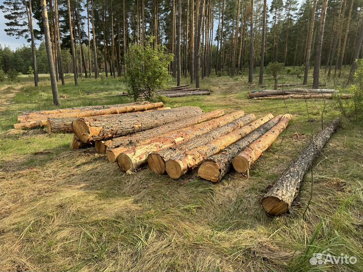 Круглый лес сосновый