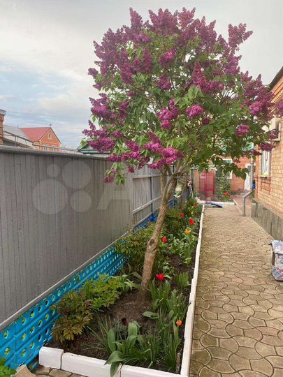 Дом 160 м² на участке 3 сот.